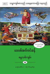 The Message of the Resurrection Book Cover